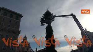 Albero di Natale a Piazza Venezia, le immagini dell’allestimento