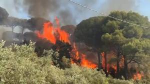 Brucia la Sicilia, centinaia di focolai in tutta la regione