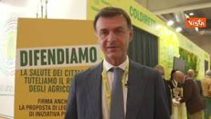 Prandini: "Dl Agricoltura risposta importante dal Governo contro crisi delle filiere"