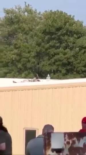 Il corpo dell'attentatore di Trump sul tetto di una fabbrica