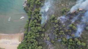 Le immagini delle fiamme che hanno bruciato parte del bosco del Gargano