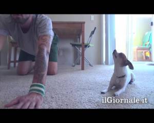 Il cagnolino fa yoga col padrone