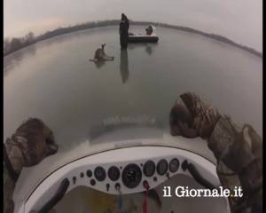 Il salvataggio dei cervi con l'hovercraft