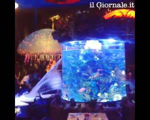 Disney World, l'acquario gigante si rompe