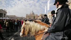 Benedizione per gli animali in piazza San Pietro