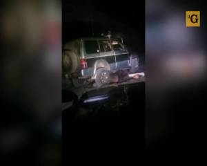 Orso investito da una jeep scatena la sua furia