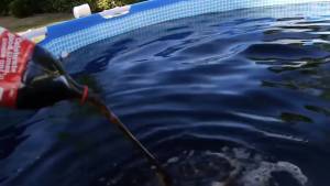 Riempie la piscina con 6mila litri di Coca-Cola, aggiunge le Mentos e poi... ci si tuffa