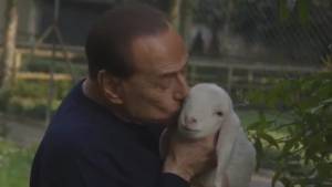 Berlusconi salva cinque agnellini dalle tavole di Pasqua