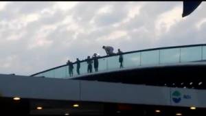 Venezia, turisti si tuffano all'alba dal ponte di Calatrava