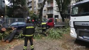 Albero sulle auto, un guidatore: "L'ho visto cadere e mi sono riparato dietro al sedile"