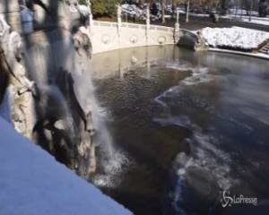 Neve a Torino: la città si sveglia imbiancata