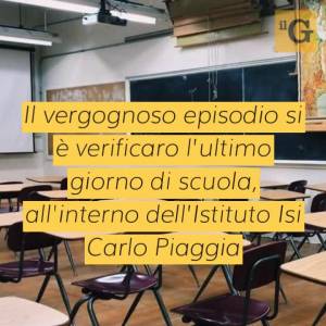 Viareggio, gattina mascotte della scuola gettata dal secondo piano