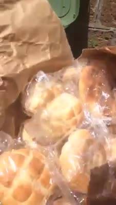 Roma, il pane per i migranti gettato nell'immondizia