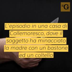 Pregiudicato minaccia la madre, poi attacca i militari con i coltelli