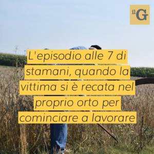 Anziano aggredito e rapinato nel proprio orto a Ravenna, si cerca uno straniero