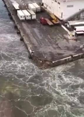 L'incidente al porto: il video della nave che colpisce la banchina