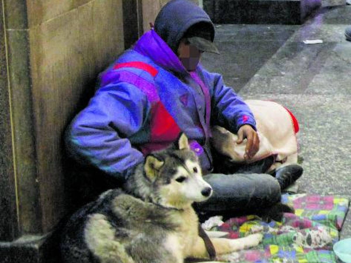 Accattonaggio con i cani, la legge è ferma in Regione