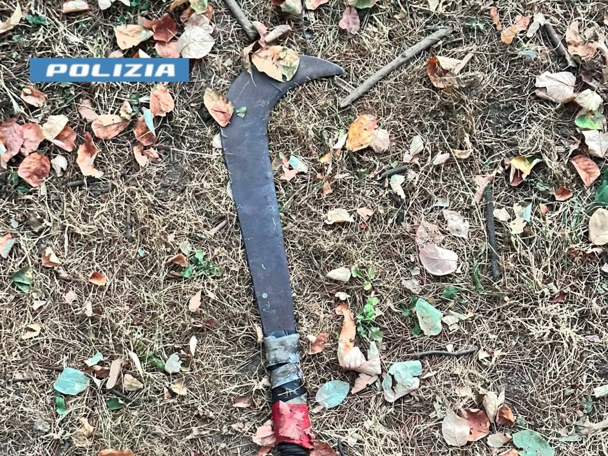 la rissa e l aggressione a un agente con una roncola marocchino irregolare fermato con il taser da Ilgiornale.it la rissa e l aggressione a un agente con una roncola marocchino irregolare fermato con il taser