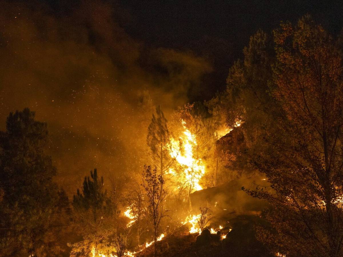 cavo elettrico cade a terra e prende fuoco un bosco almeno 12 morti in andalusia da Ilgiornale.it cavo elettrico cade a terra e prende fuoco un bosco almeno 12 morti in andalusia