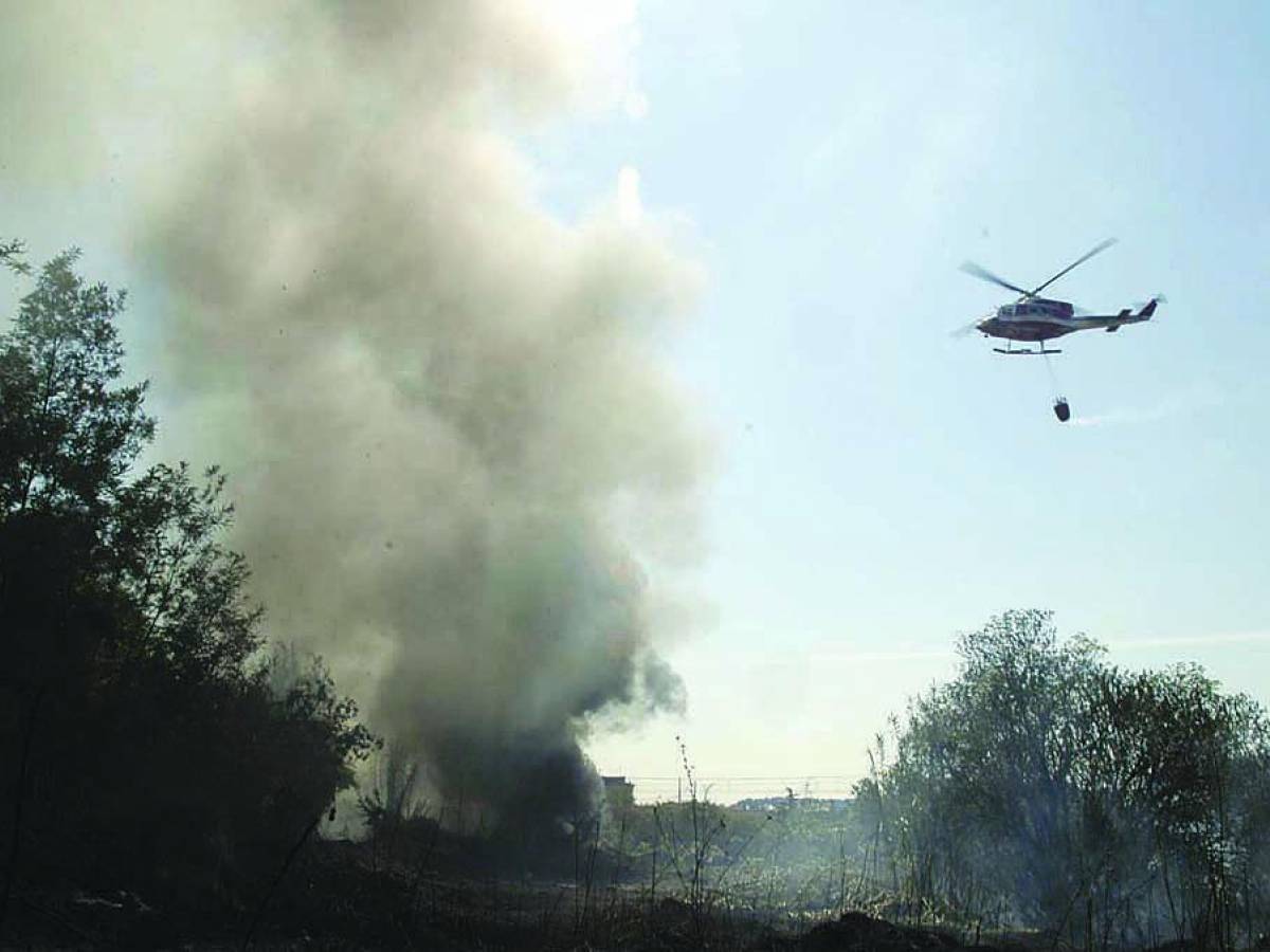 Donna In Balìa Del Branco Nell’inferno Di Colle Oppio - IlGiornale.it