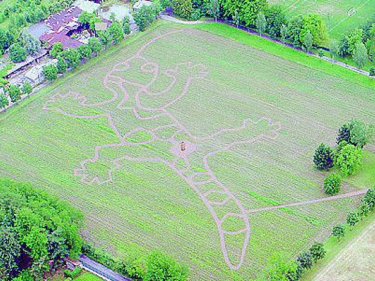 Il Grande Labirinto Del Parco Nord IlGiornale it