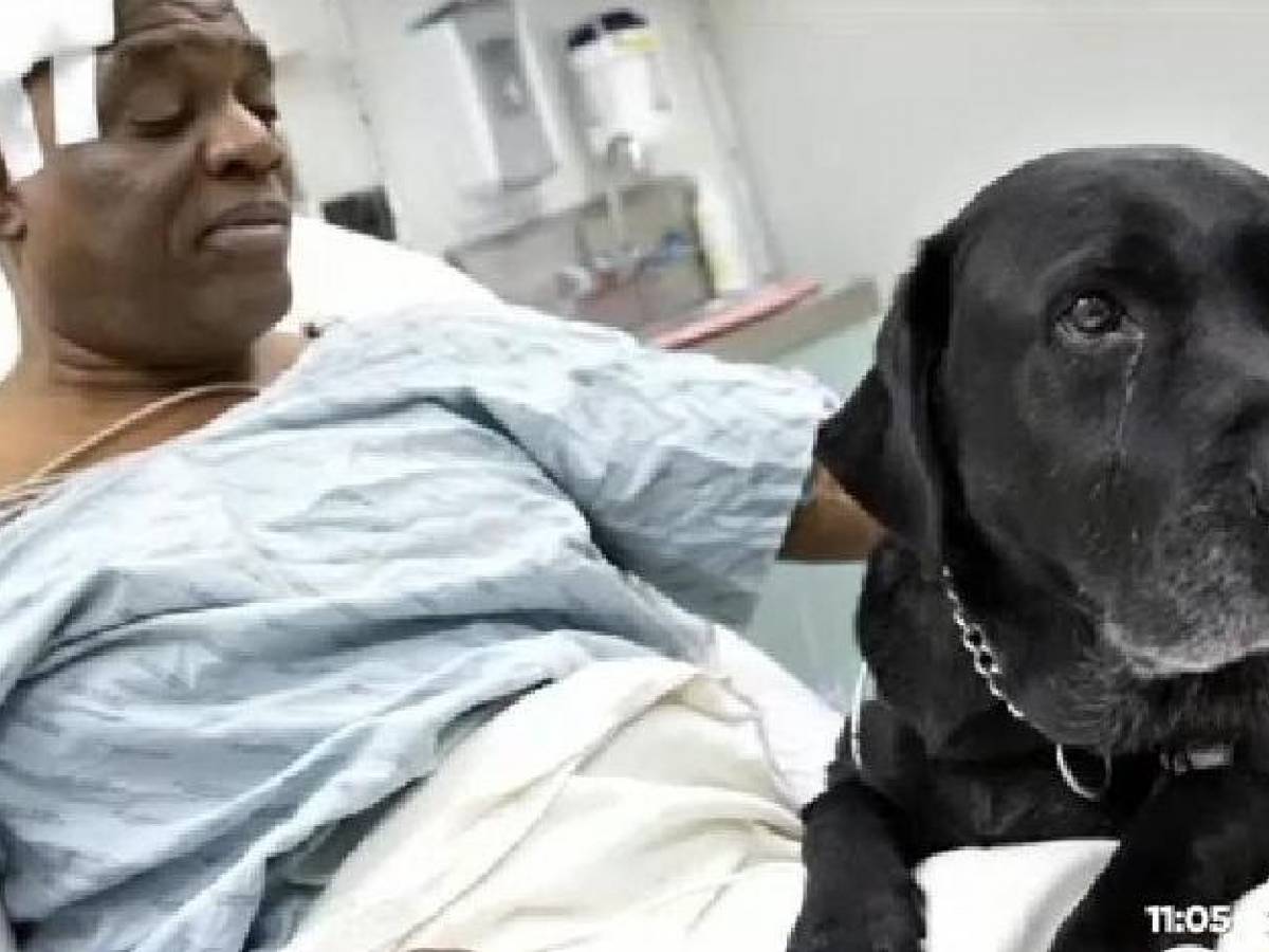 Bailey Il Cane Più Ricco Del Mondo