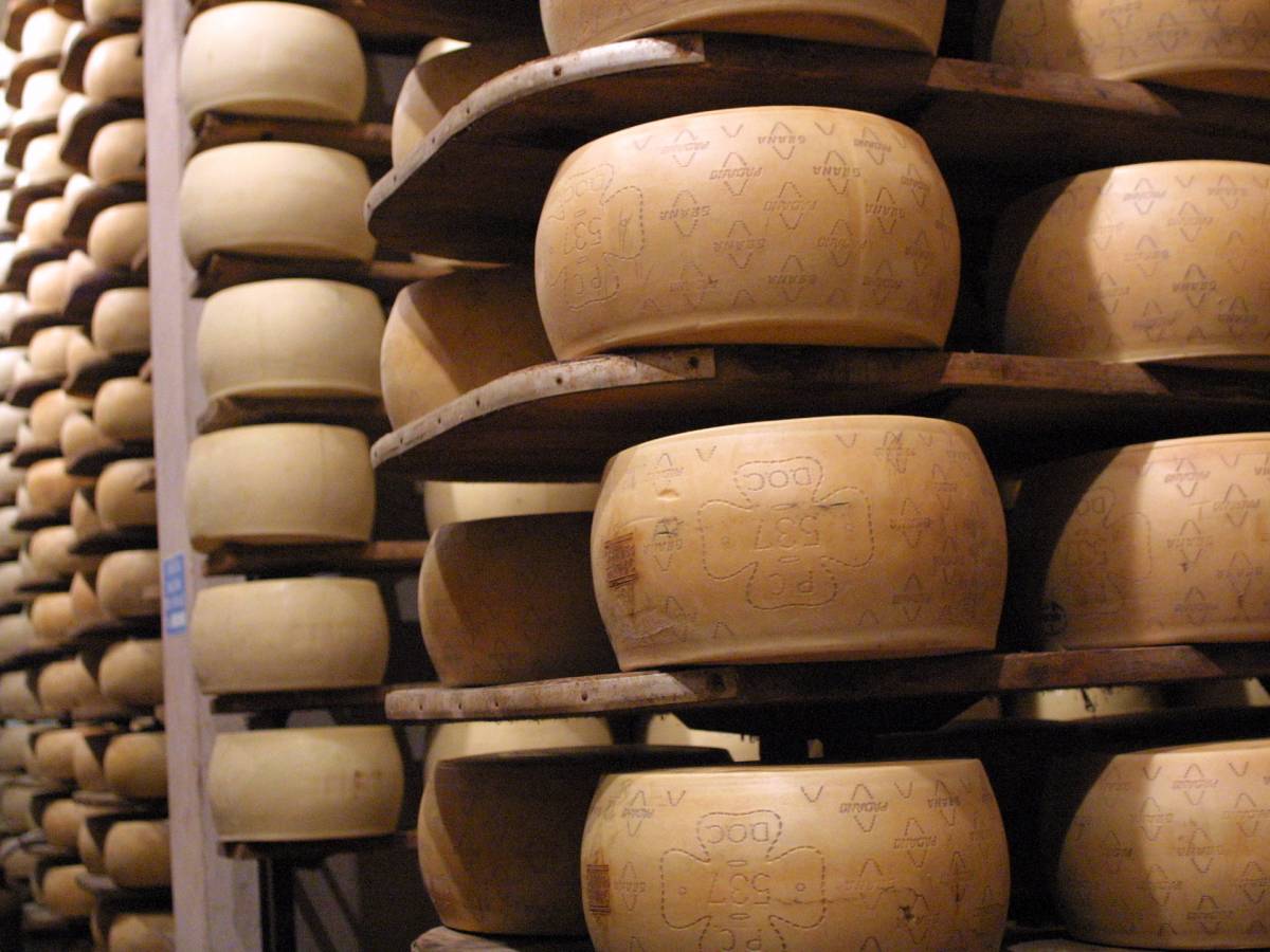 "Non è un termine generico": la sentenza che mette al bando i falsi Grana "Non è un termine generico": la sentenza che mette al bando i falsi Grana