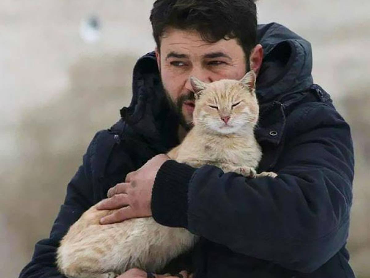 Спасти бомжа. Мужчина с котом на руках. Бездомный кот на руках.