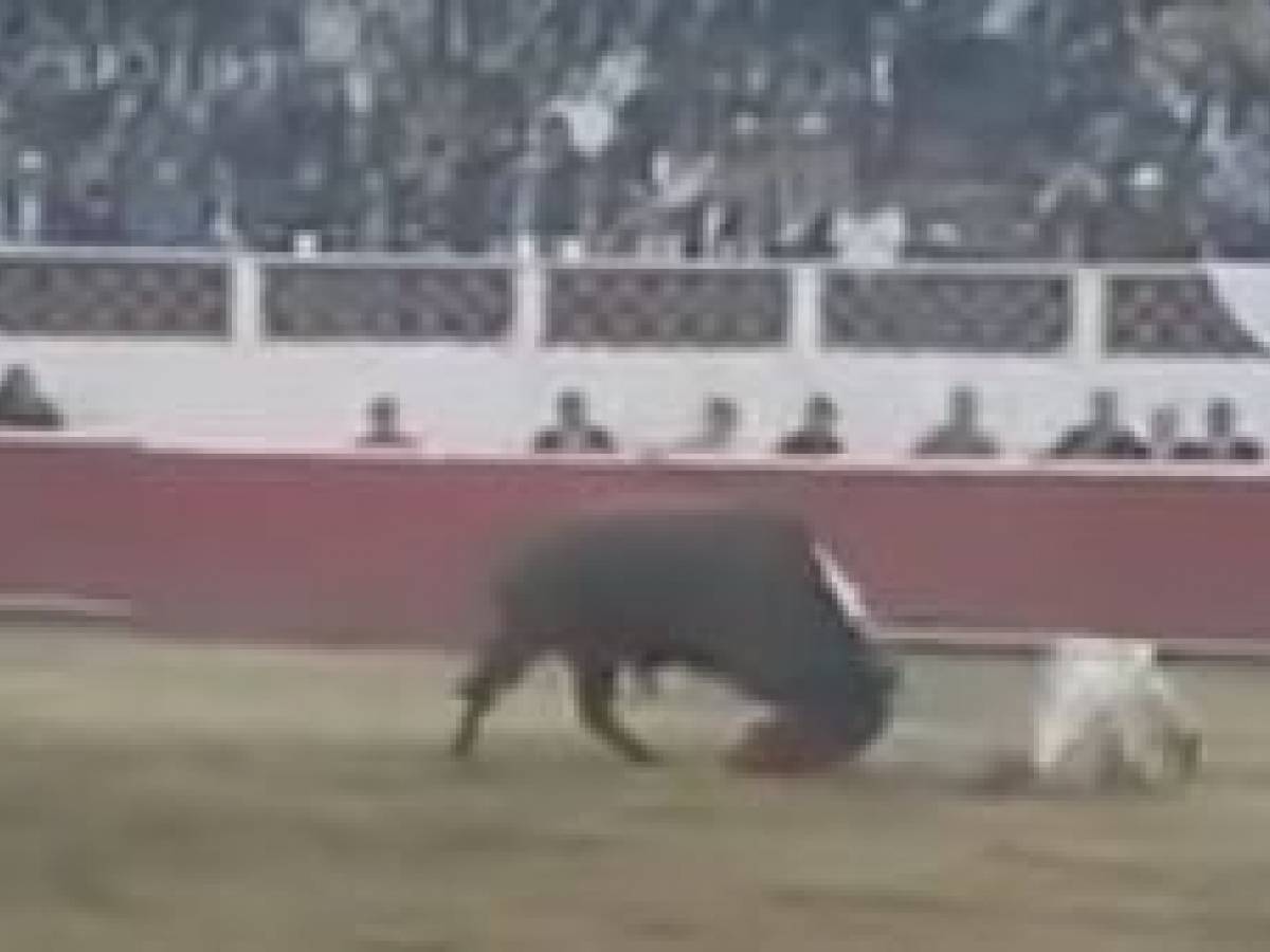 Come Si Chiama Il Drappo Rosso Del Torero
