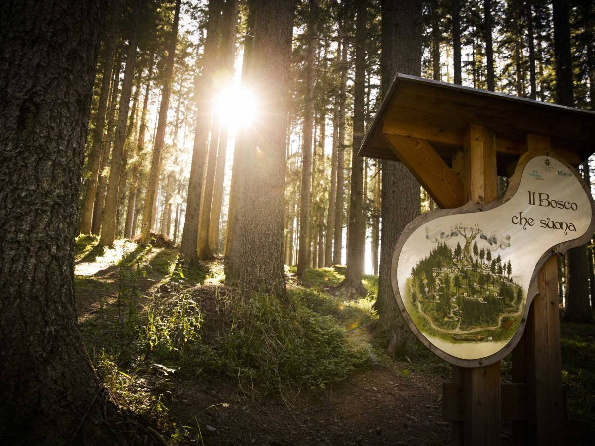 Nella "Valle dell'armonia" con Bollani al pianoforte ilGiornale.it