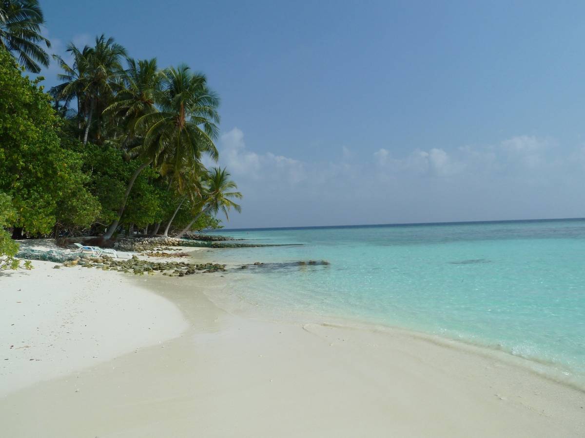 In vendita un'isola caraibica da sogno ecco quanto costa il Giornale