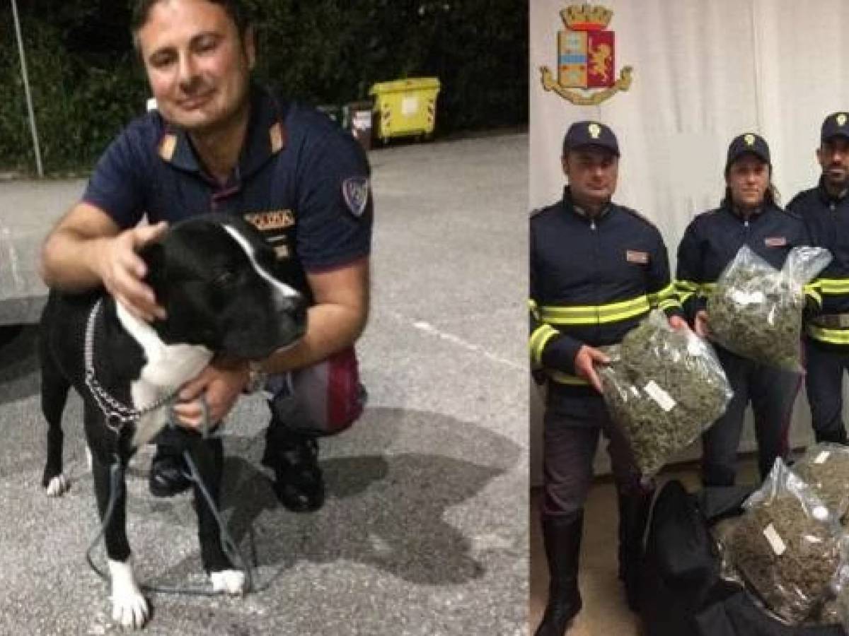 Viareggio, albanese fermato con 20 kg di “amnesia”: una droga micidiale ...