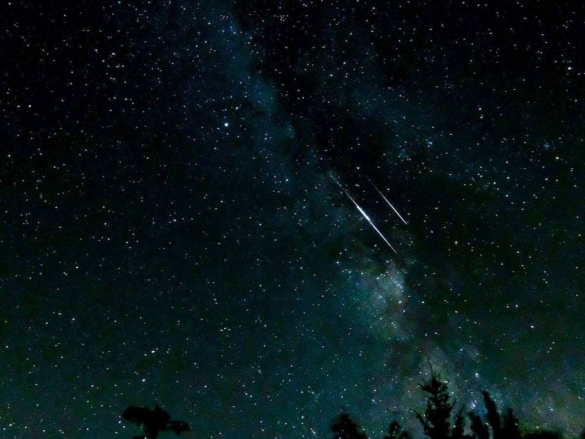 Pioggia di stelle cadenti