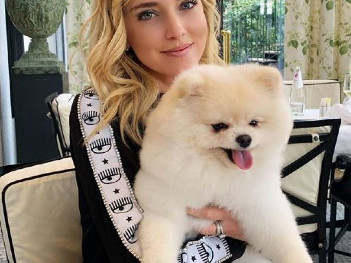 Il Cane Di Chiara Ferragni Ha Il Papillon