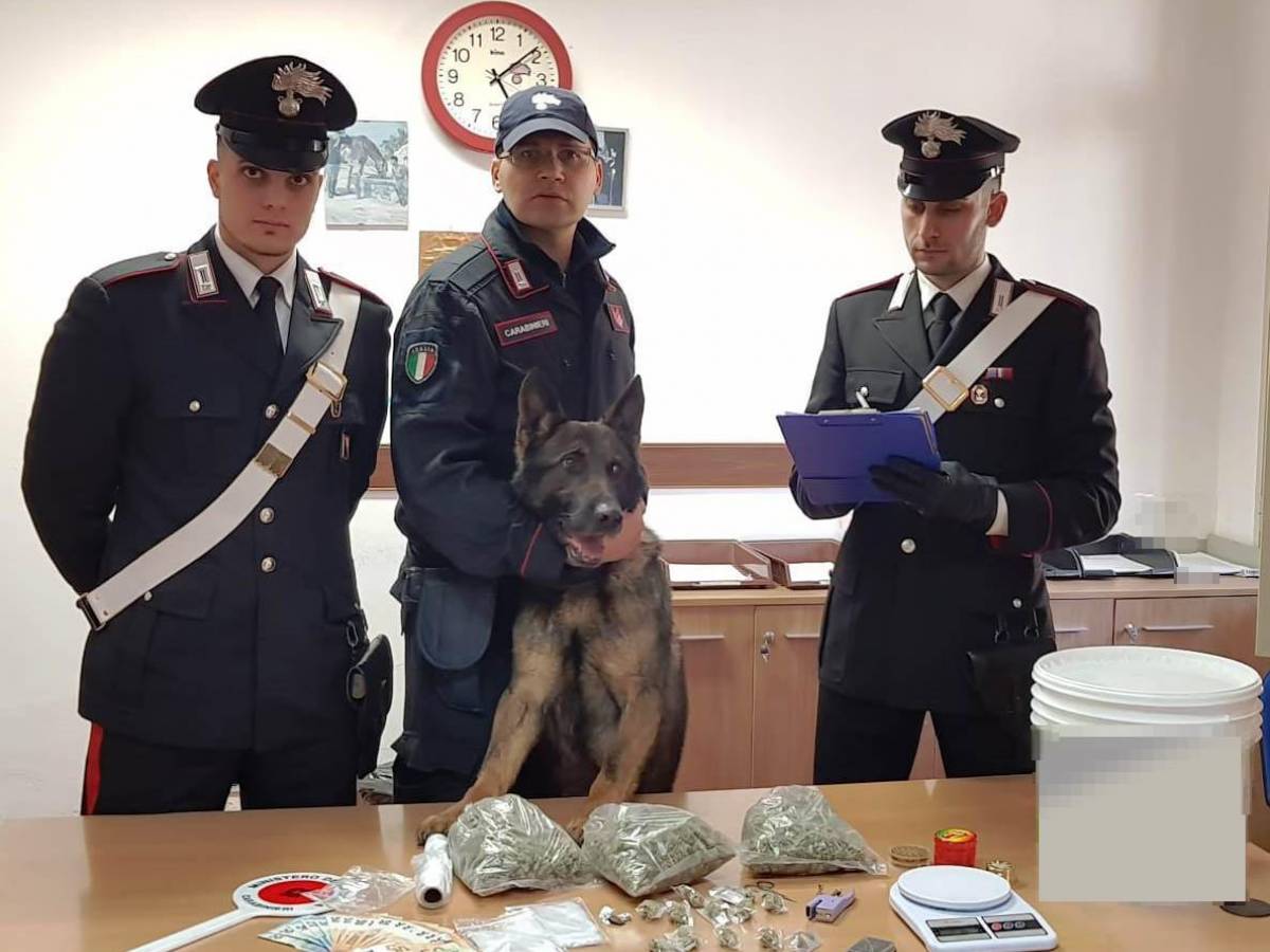 cosa succede se ti beccano con una canna