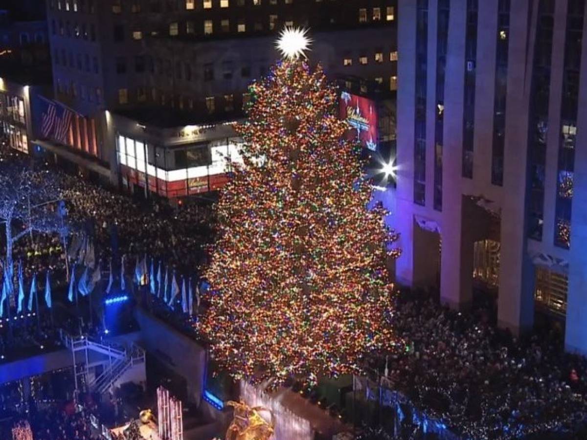 New York, l’albero di Natale più famoso al mondo è "figlio" di un