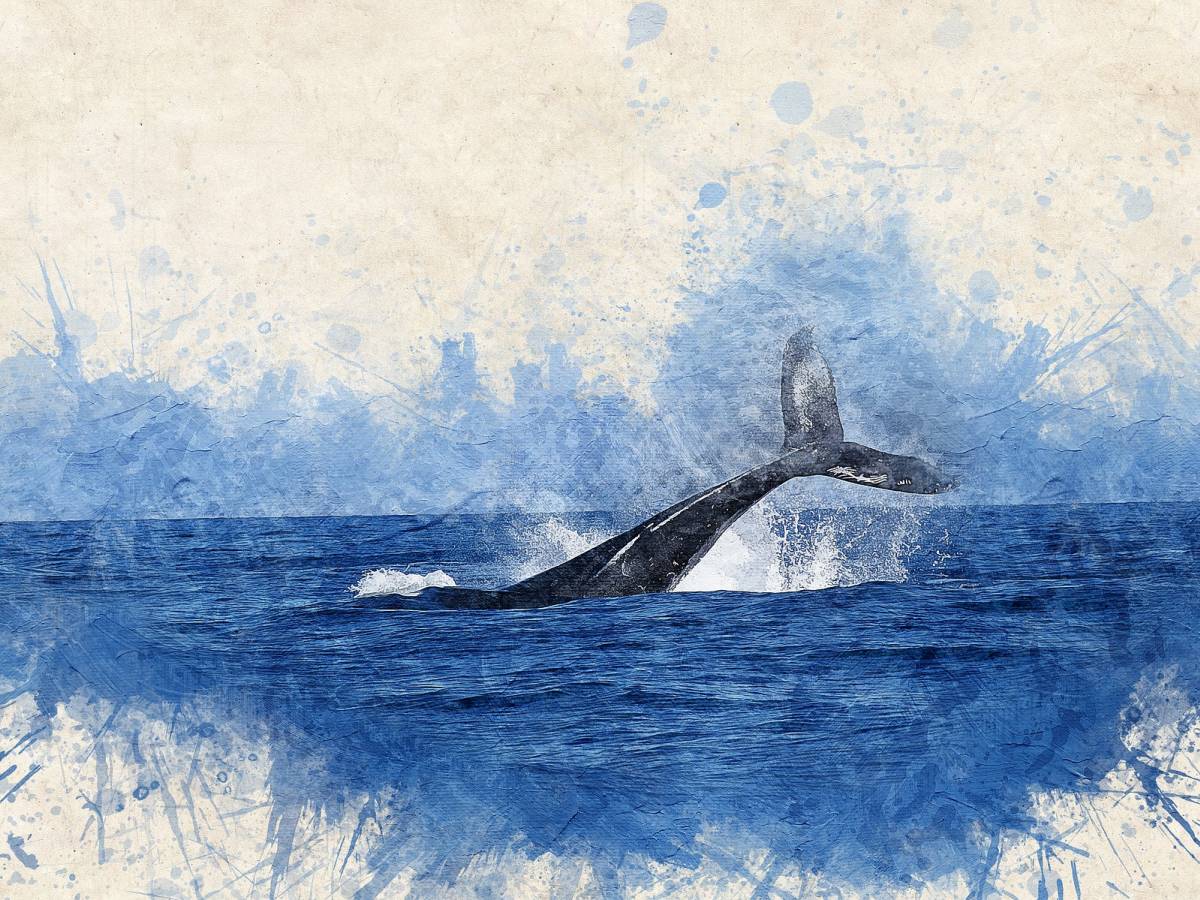 ‘Tiramos mucho para comer’: Essex y la verdadera historia de Moby Dick