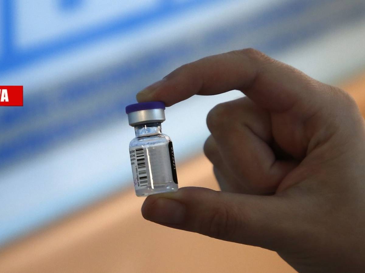 Dose, test ed effetti collaterali Vaccino, le istruzioni per l'uso
