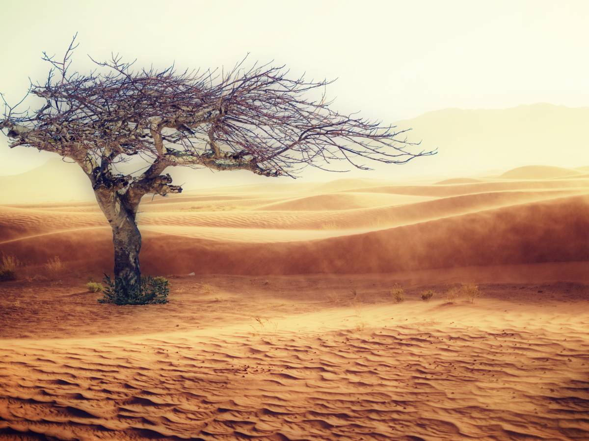 ant242 fa caldo da Ilgiornale.it ant242 fa caldo