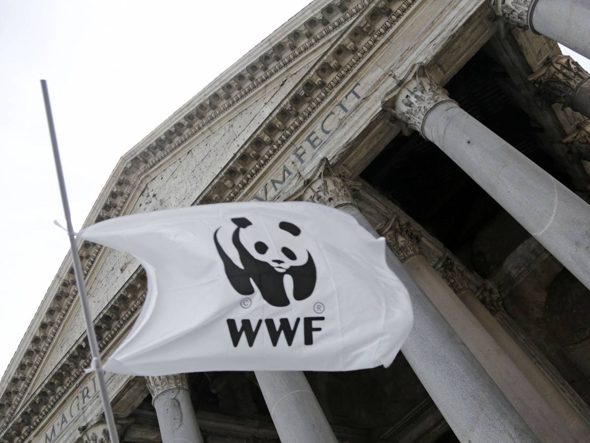  Massacravano I Nativi E Il Wwf Finisce Sotto Accusa IlGiornale it