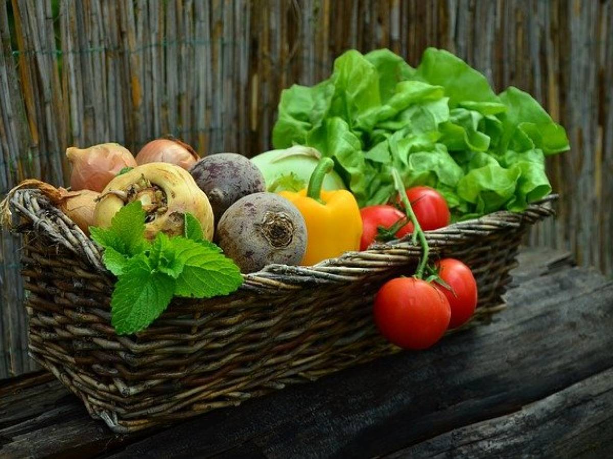 Déficience cognitive, une alimentation riche en légumes réduit le risque