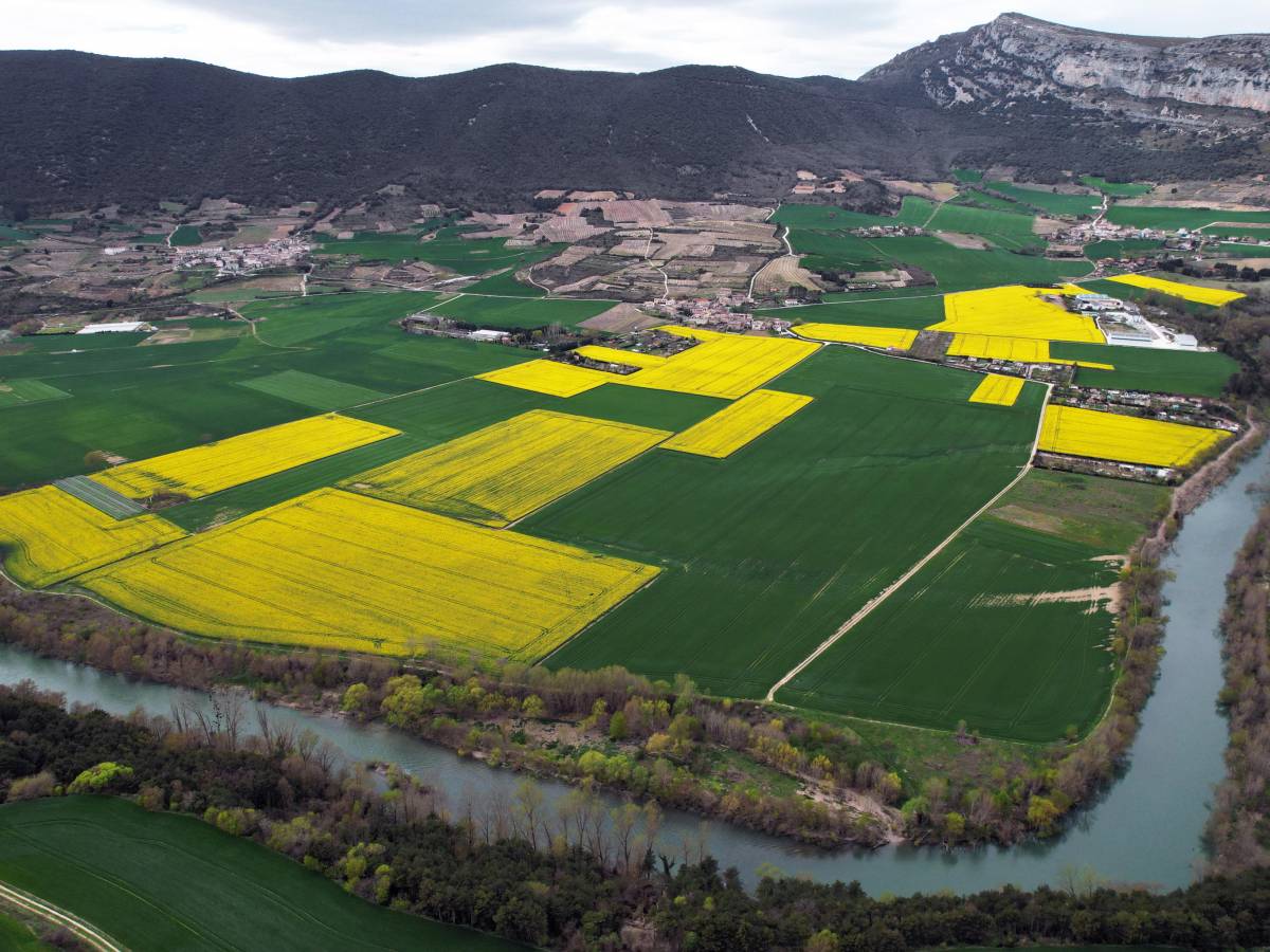 Record per l’agricoltura italiana: prima per valore aggiunto in Ue. Meloni: "La strada è quella giusta"