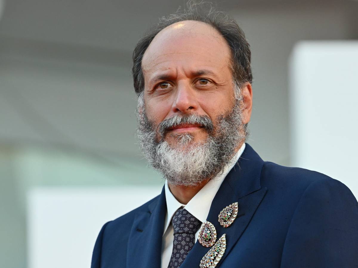 Comanda Luca Guadagnino