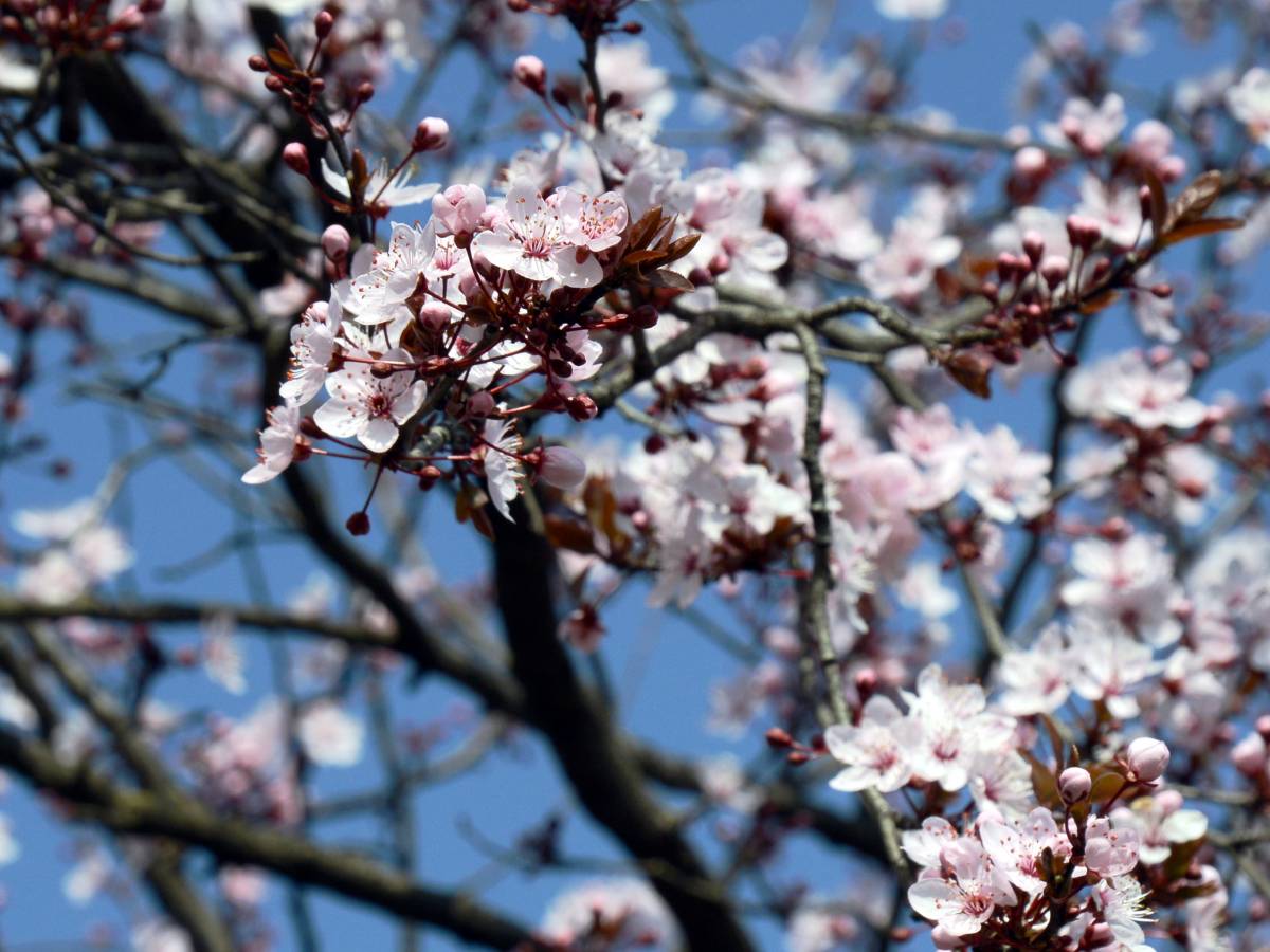 Fine settimana di primavera ma preparatevi a due nuovi vortici ciclonici