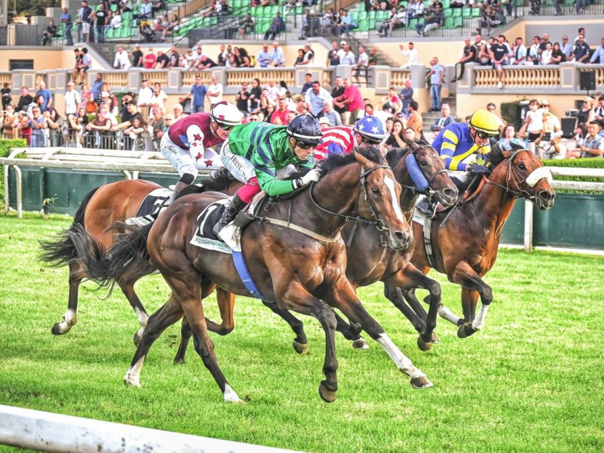 Con Andreina e Thomas Rook al via la primavera del galoppo italiano ...
