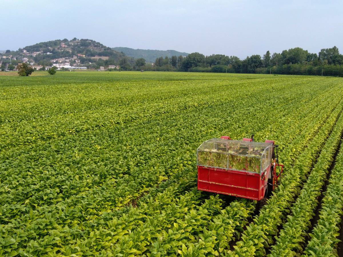 Il Nuovo Accordo Tra Philip Morris Italia E Il Masaf A Sostegno Della ...