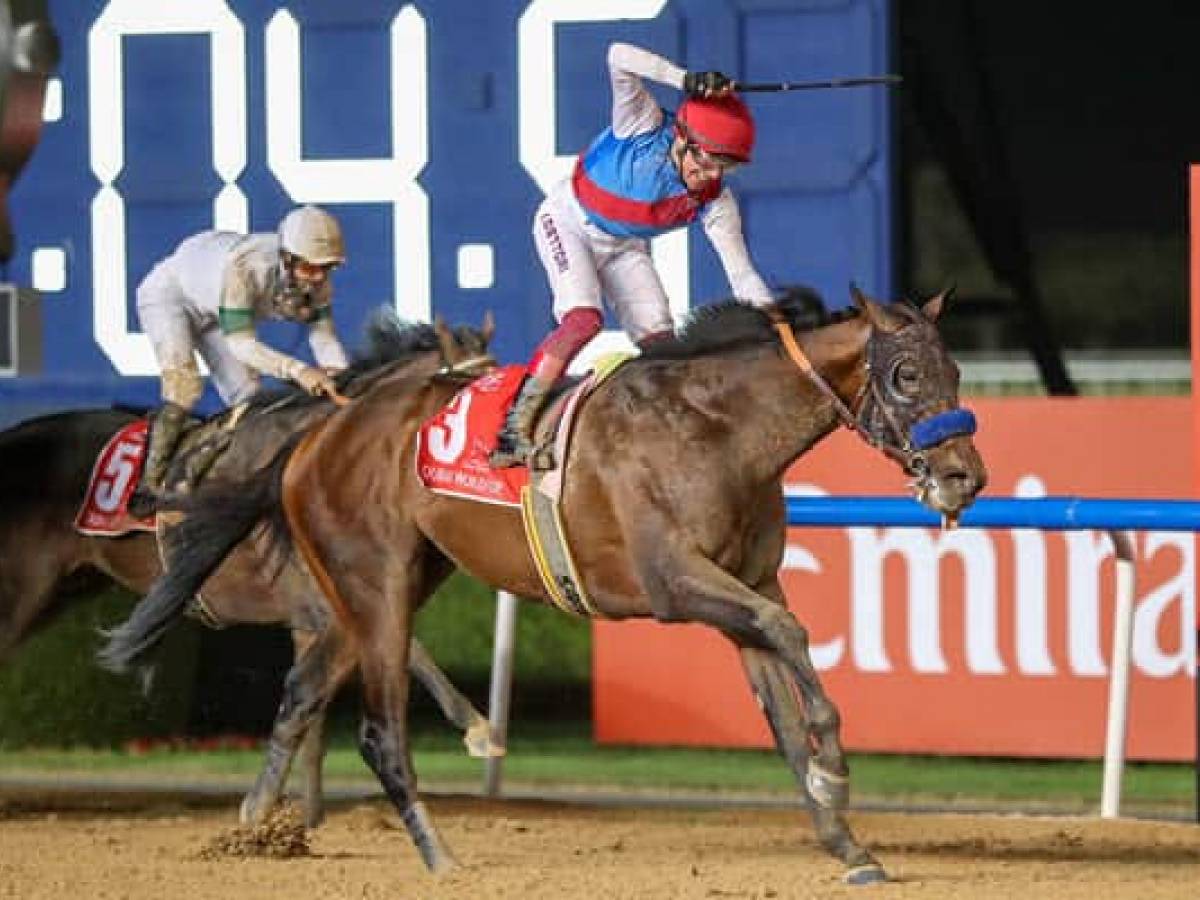 世界最高の馬がドバイで競う