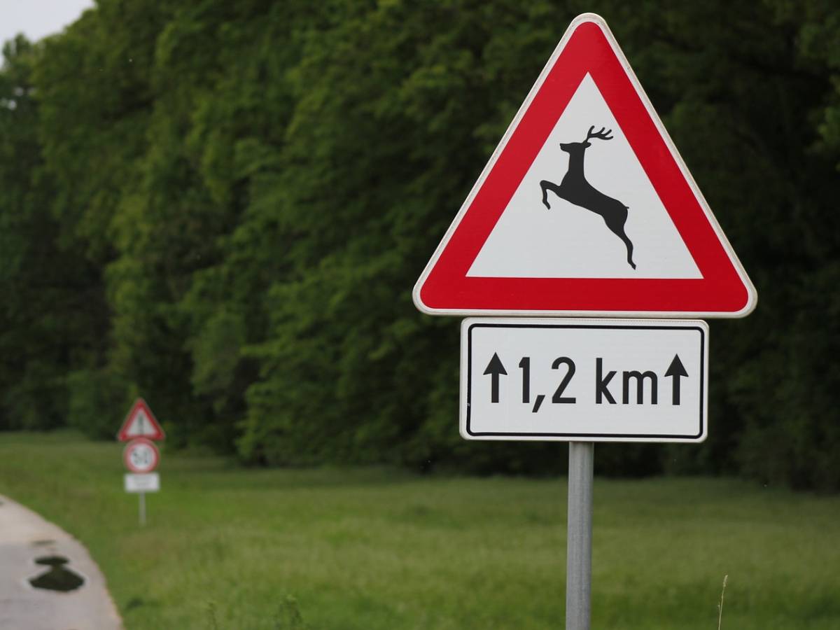 Addio al padre della segnaletica italiana: morto il fumettista Michele Jocca - ilGiornale.it