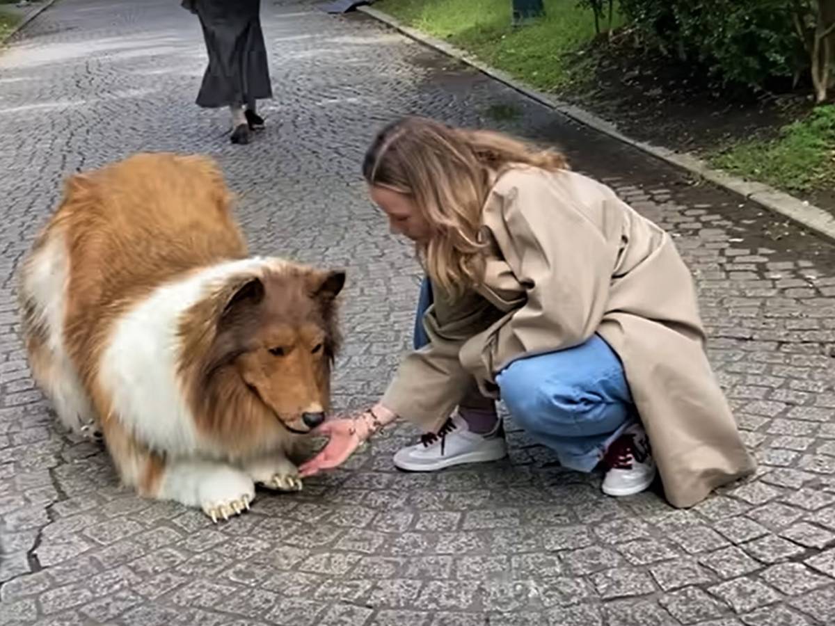 Realizza Il Sogno Di Trasformarsi In Un Cane Con 13mila Euro Cosa Ha realizza-il-sogno-di-trasformarsi-in-un-cane-con-13mila-euro-cosa-ha