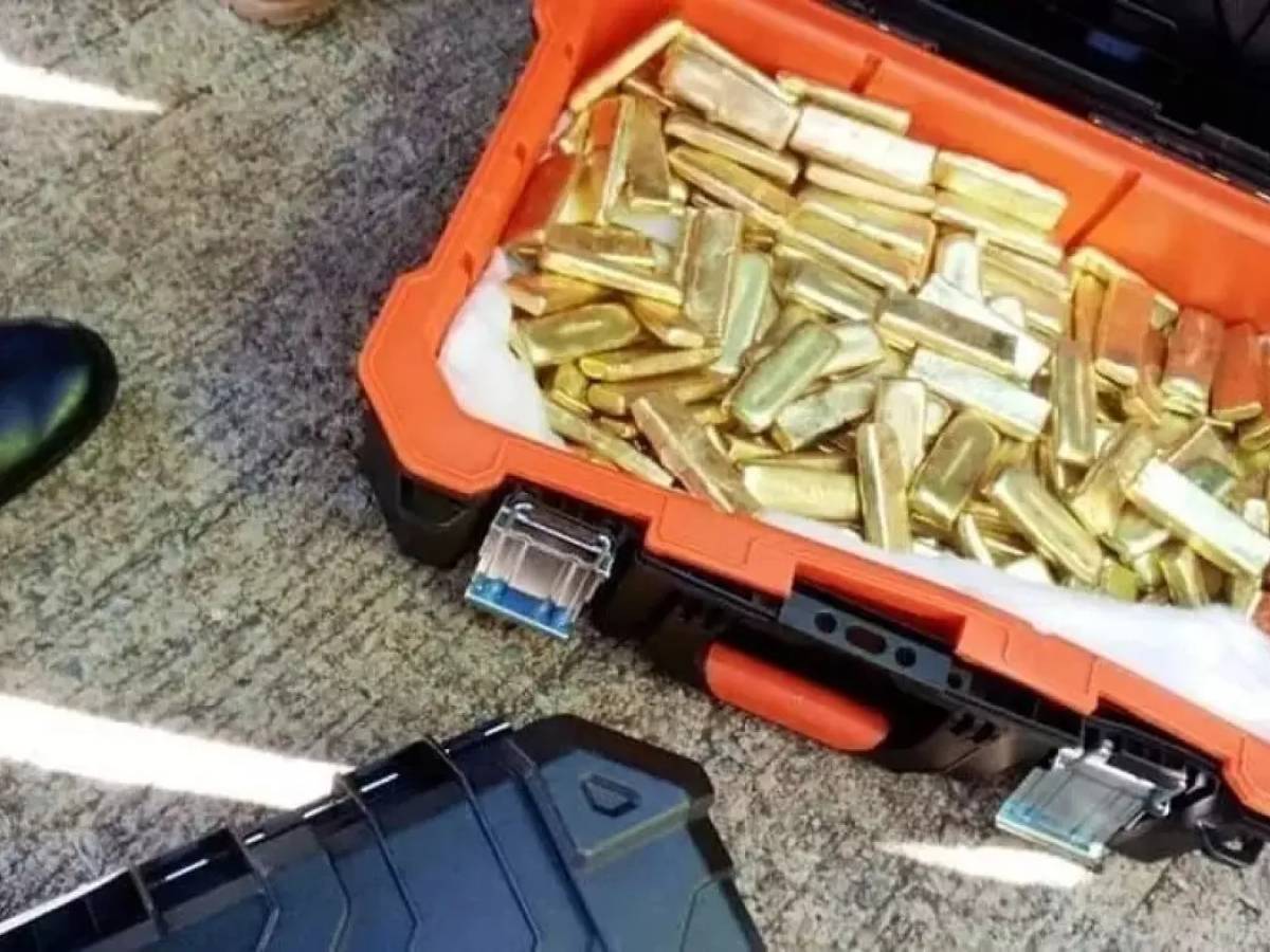 Lingotes de oro falsos, bolsas de dinero y armas: el amarillo del avión que llegó de El Cairo